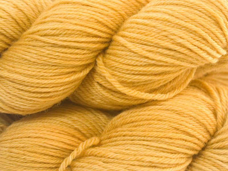 Semi-solid golden yellow superwash British Bluefaced Leicester sportweight yarn. hand-dyed by Triskelion Yarn