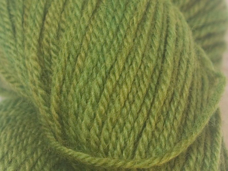 Mid-tone grassy green Bluefaced Leicester (BFL) double knit yarn. Hand-dyed by Triskelion Yarn