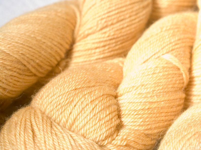 Golden yellow superwash Bluefaced Leicester (BFL) double knit yarn. Hand-dyed by Triskelion Yarn