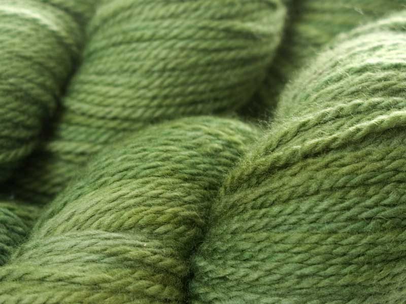 "Newt" - recent British Yarn Club Subscriptions at Triskelion Yarn