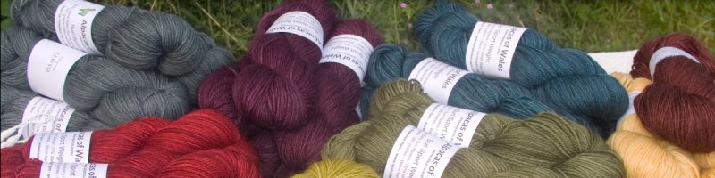 Alpacas of Wales Suri & Baby Alpaca sport weight yarn. hand dyed by Triskelion Yarn