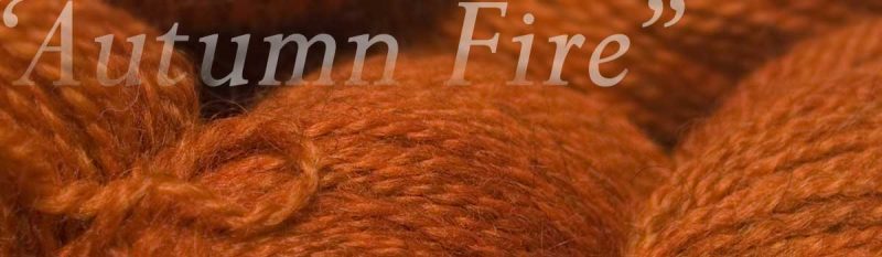 Yarn Club Subscriptions at Triskelion Yarn