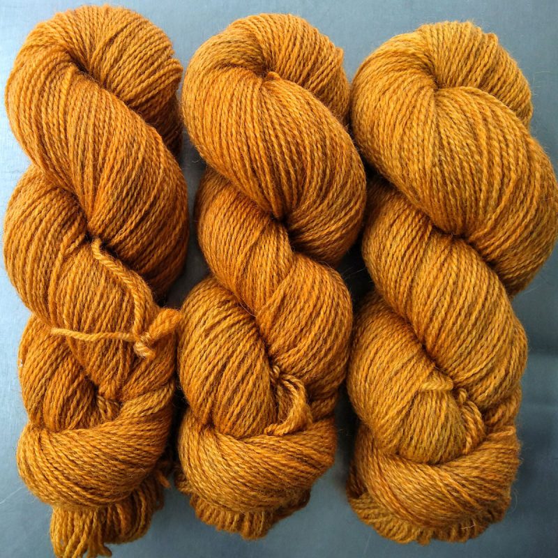 Semi-solid light orange, with tones of ochre and scarlet Bluefaced Leicester (BFL) / Gotland 4-ply (fingering) yarn. Hand-dyed by Triskelion Yarn