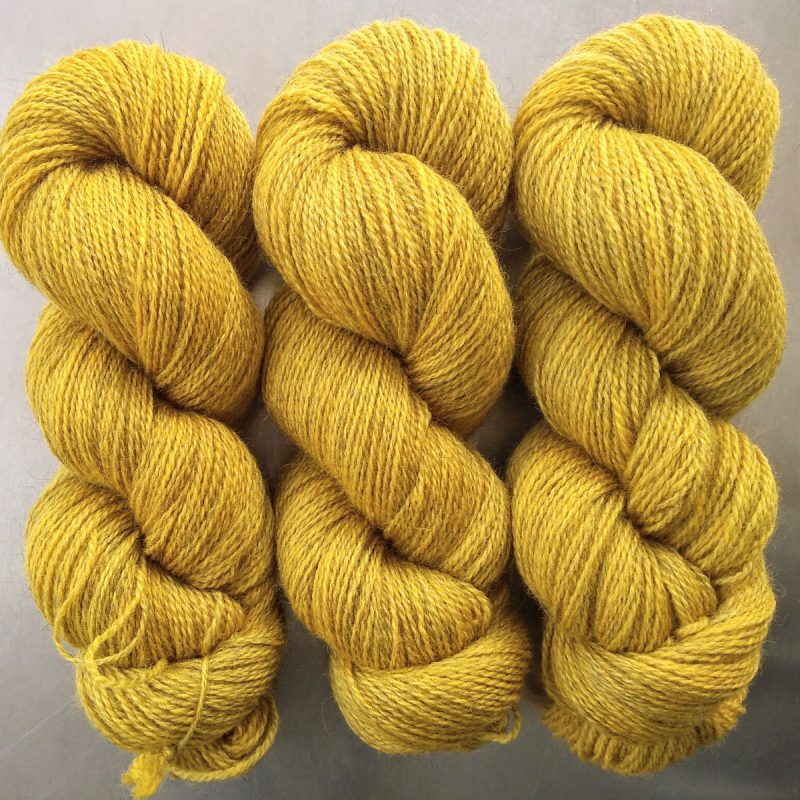 Semi-solid yellow, with tones of ochre and antique gold Bluefaced Leicester (BFL) / Gotland 4-ply (fingering) yarn. Hand-dyed by Triskelion Yarn