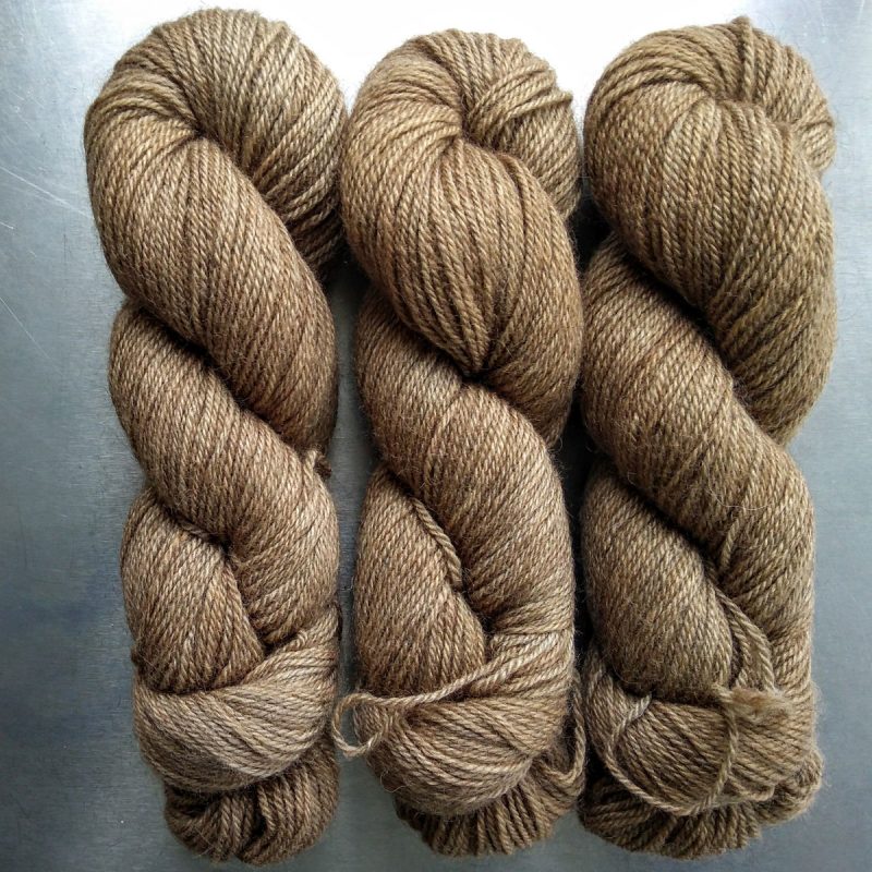 Sea Stepper - Semi-solid light brown, with oakwood and tawny tones Bluefaced Leicester (BFL) / Gotland dlouble knit (DK) yarn. Hand-dyed by Triskelion Yarn