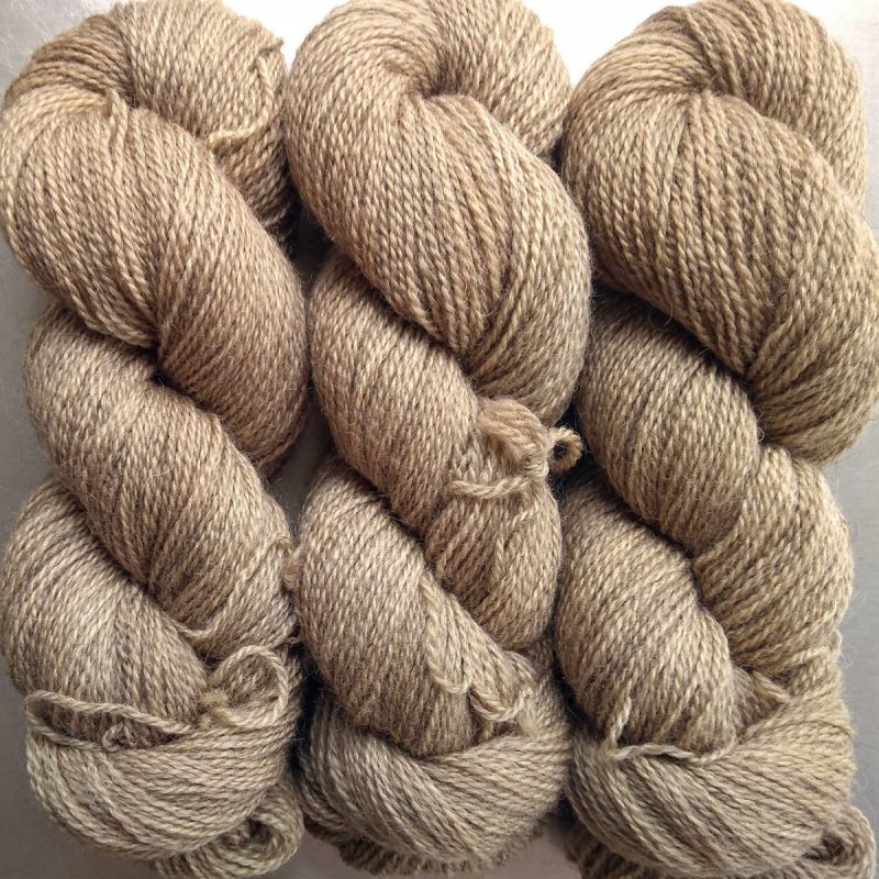 Almond - Warm beige-brown Bluefaced Leicester (BFL) / Gotland 4-ply (fingering) yarn. Hand-dyed by Triskelion Yarn