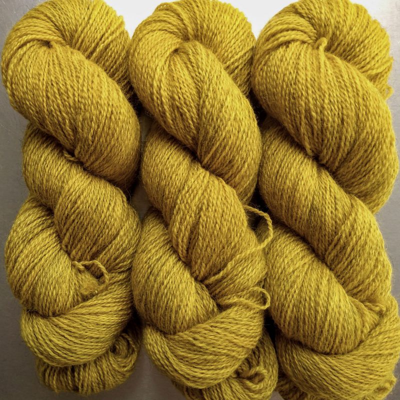 Otter's Cairn - Semi-solid yellow, with tones of ochre and antique gold Bluefaced Leicester (BFL) / Gotland 4-ply (fingering) yarn. Hand-dyed by Triskelion Yarn