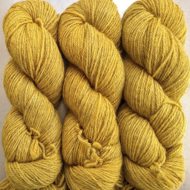 Otter's Cairn - Semi-solid yellow, with tones of ochre and antique gold Bluefaced Leicester (BFL) / Gotland double knit (DK) yarn. Hand-dyed by Triskelion Yarn