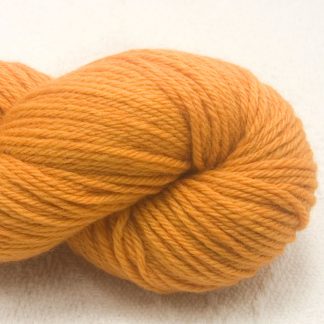 Anemone - Apricot orange Corriedale heavy DK/worsted weight yarn. Hand-dyed by Triskelion Studio.